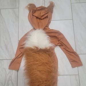 Fun Fox costume (medium)